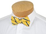 Lauren Ralph Lauren Boy s Bow Tie 27973 Yellow Stripe on Sale